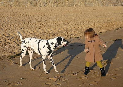 Perro y niña en la playa